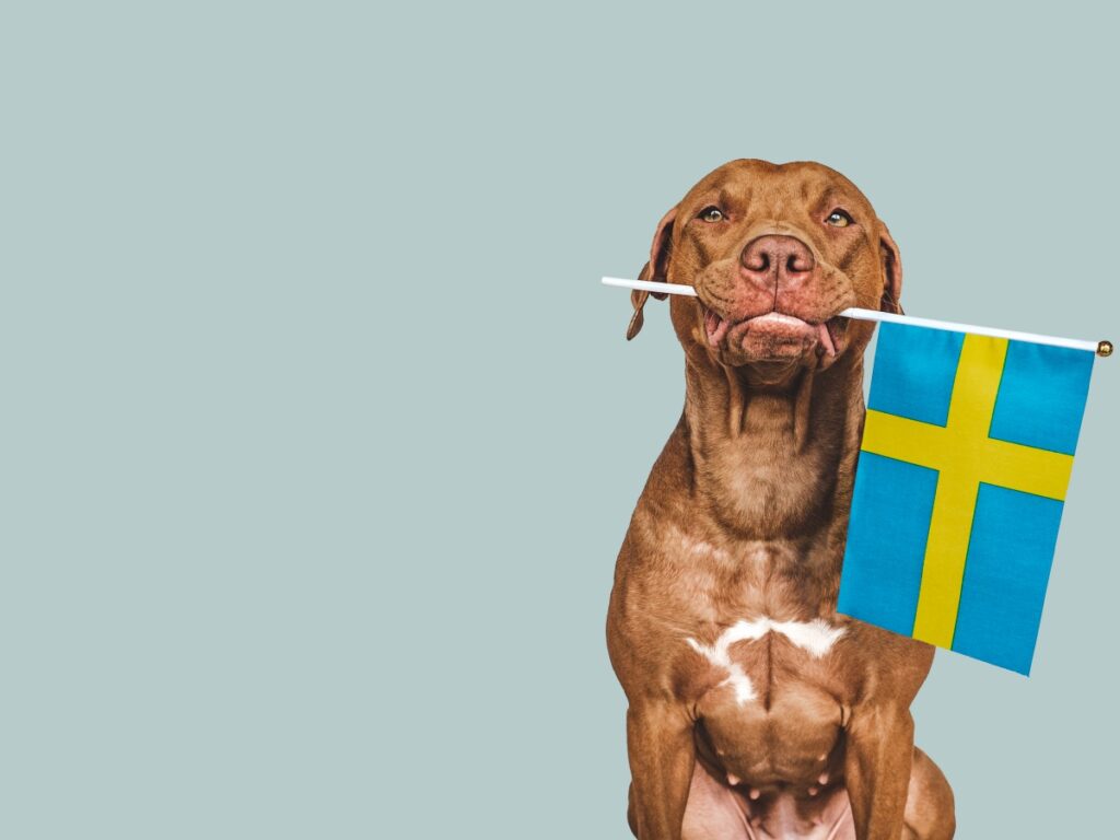 schwedisches Hundefutter