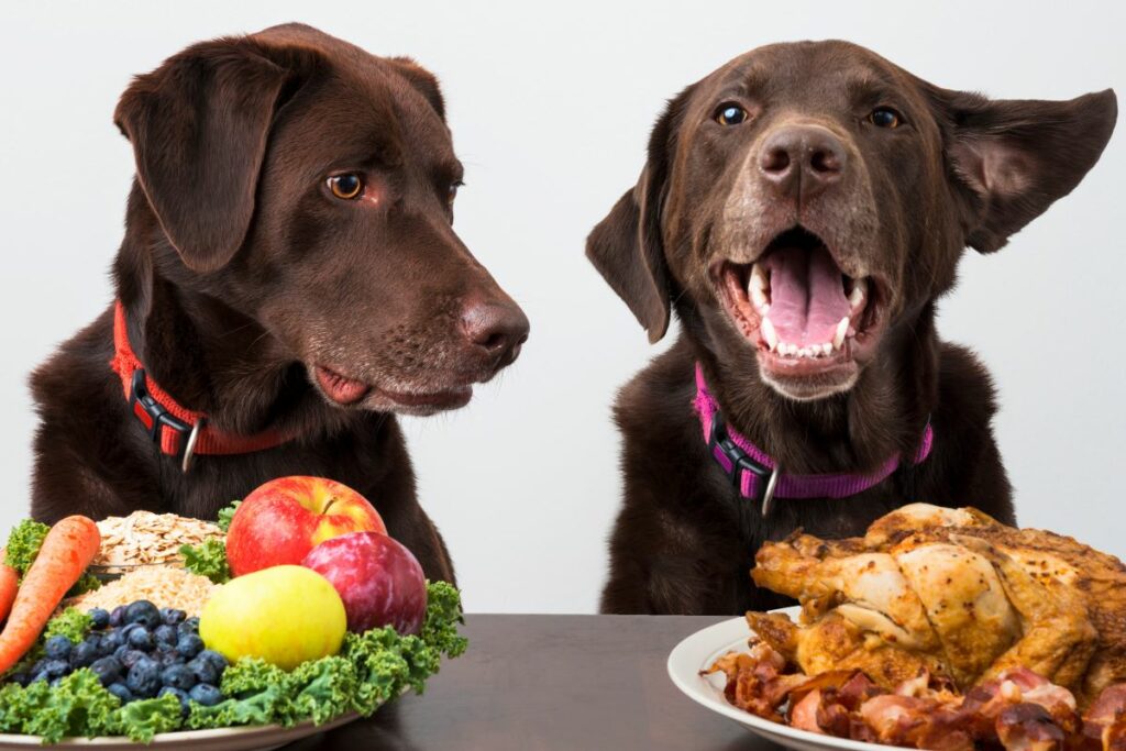 Nahrungstabelle für Hunde